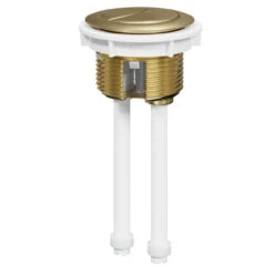 Colore Round Brushed Brass 48mm Dual Flush Push Button