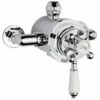 Nuie Premier Traditional Dual Exposed Thermo Valve - A3091e -Luxury Bath Shop premier traditional dual exposed thermo valve a3091e